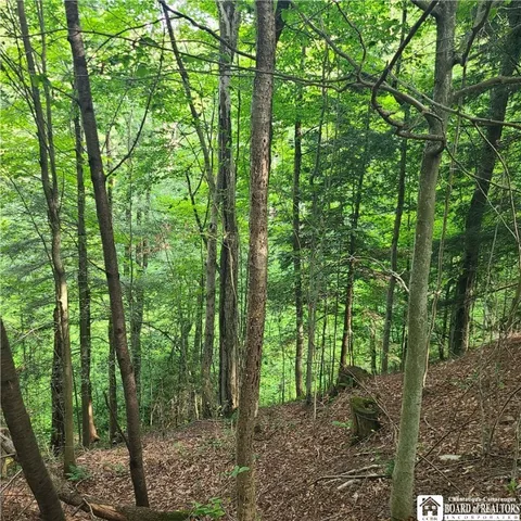 $159,900 | 1-lot B Bowen Road, Randolph, NY 14772