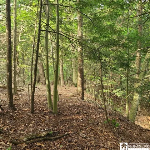 $159,900 | 1-lot B Bowen Road, Randolph, NY 14772