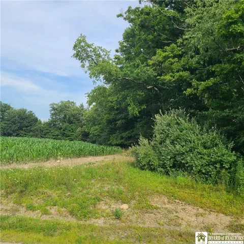 $159,900 | 1-lot B Bowen Road, Randolph, NY 14772