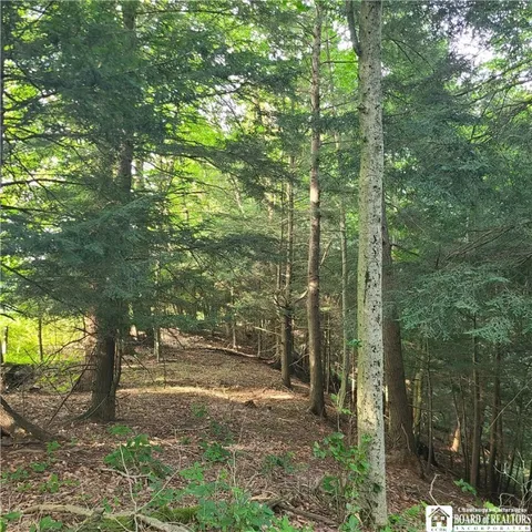 $159,900 | 1-lot B Bowen Road, Randolph, NY 14772