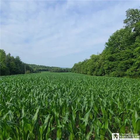 $159,900 | 1-lot B Bowen Road, Randolph, NY 14772