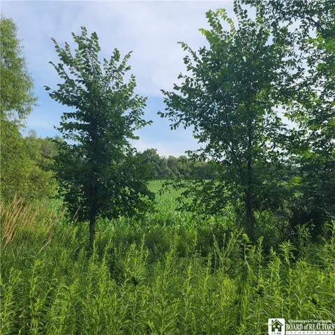 $159,900 | 1-lot B Bowen Road, Randolph, NY 14772
