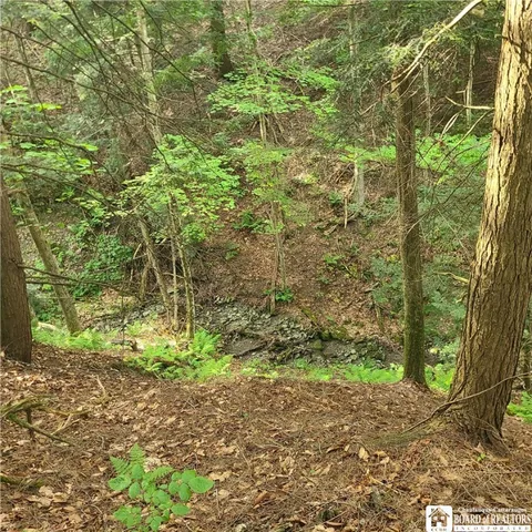 $159,900 | 1-lot B Bowen Road, Randolph, NY 14772