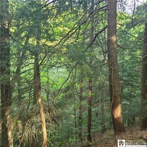 $159,900 | 1-lot B Bowen Road, Randolph, NY 14772