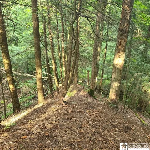$159,900 | 1-lot B Bowen Road, Randolph, NY 14772