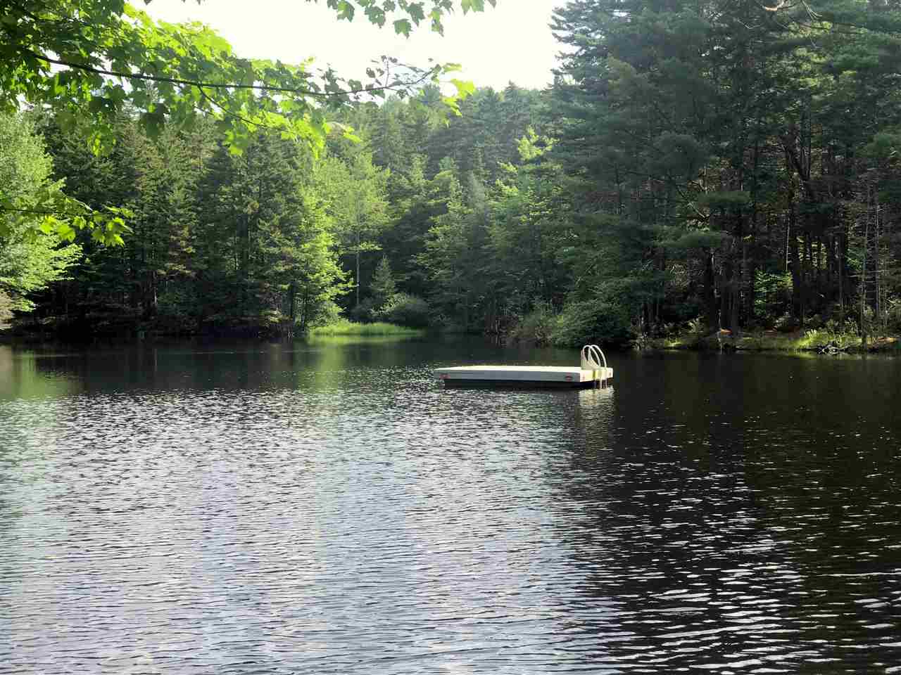 2198 Shunpike Road Mount Holly, VT 05758 - Photo 40 of 40