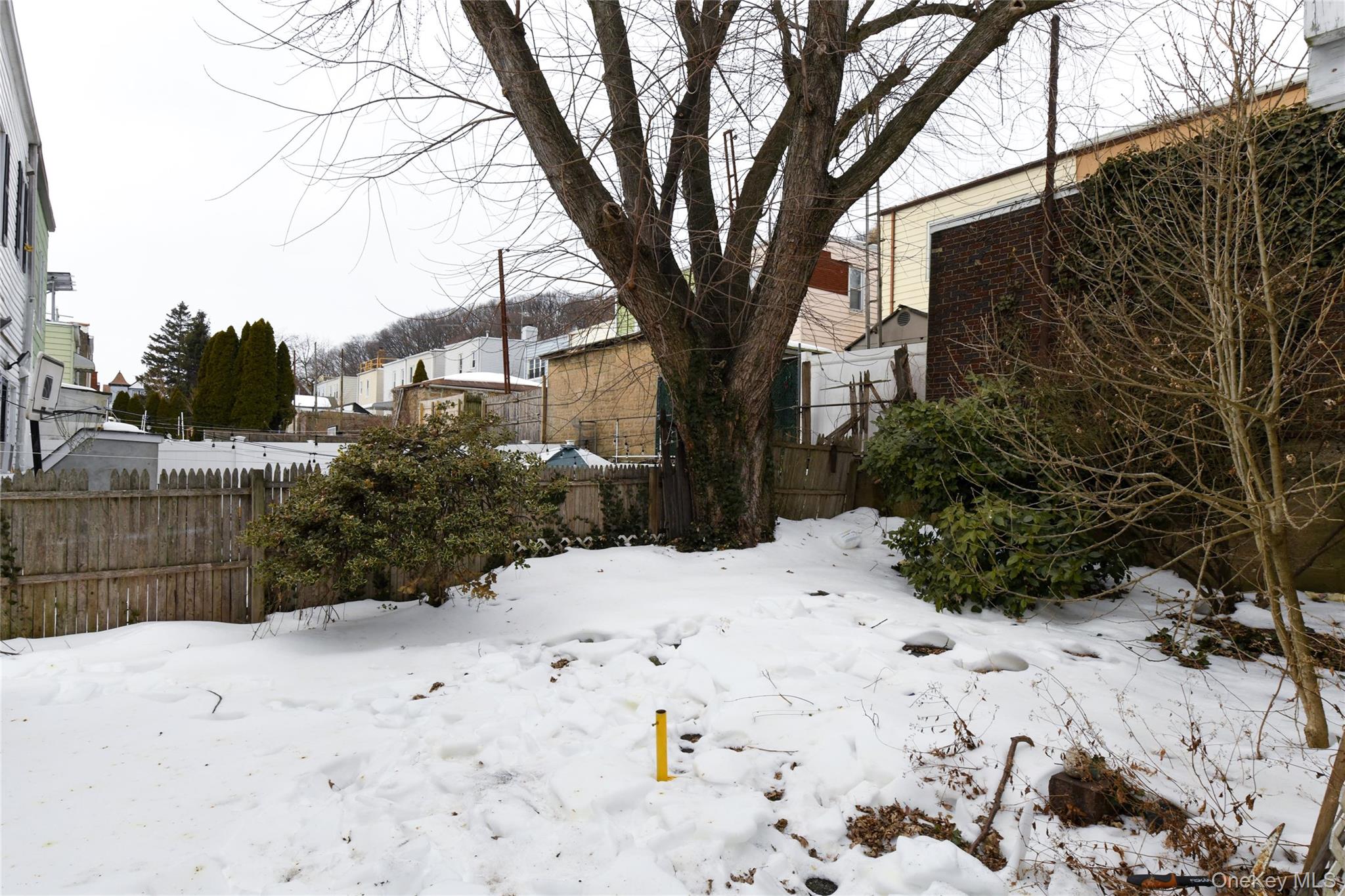 76-43 85th Road Queens, NY 11421 - Photo 6 of 31 a view of a yard covered in snow