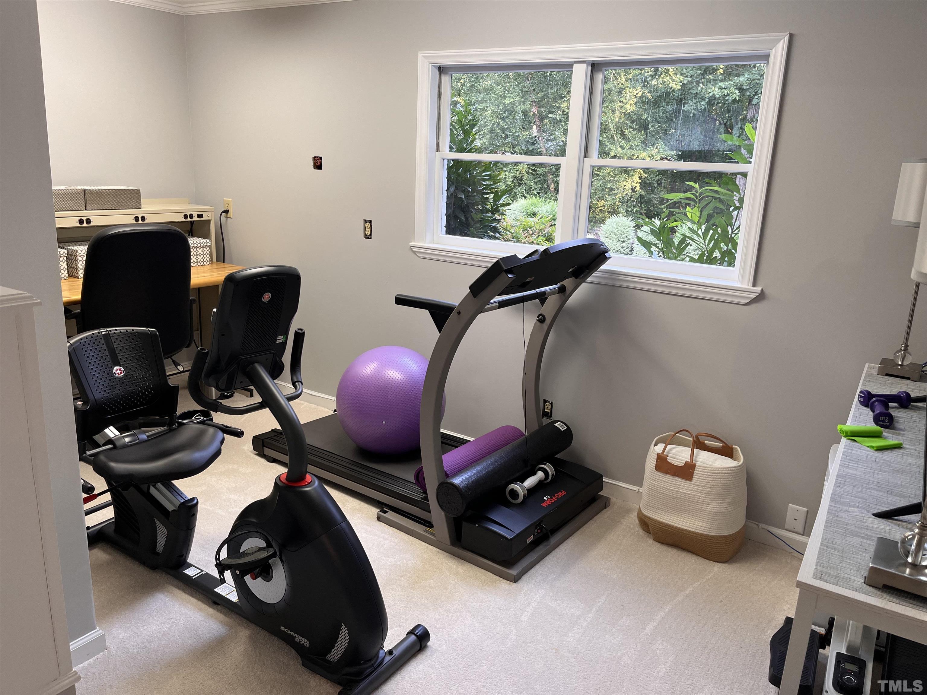 3421 Horseshoe Bend Raleigh, NC 27613 - Photo 61 of 72 Gallery Image 61