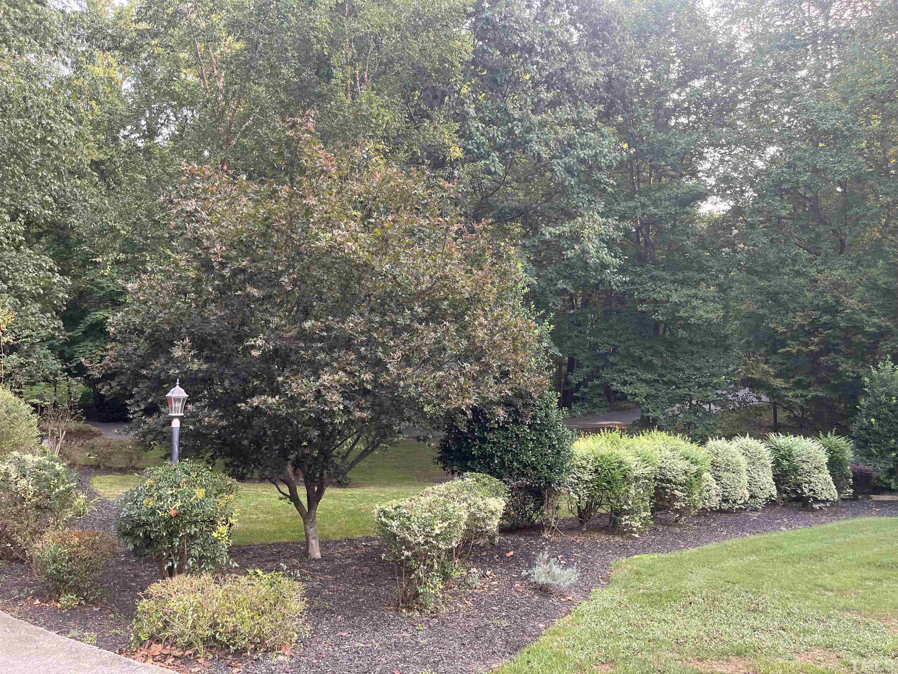 3421 Horseshoe Bend Raleigh, NC 27613 - Photo 10 of 72 Gallery Image 10