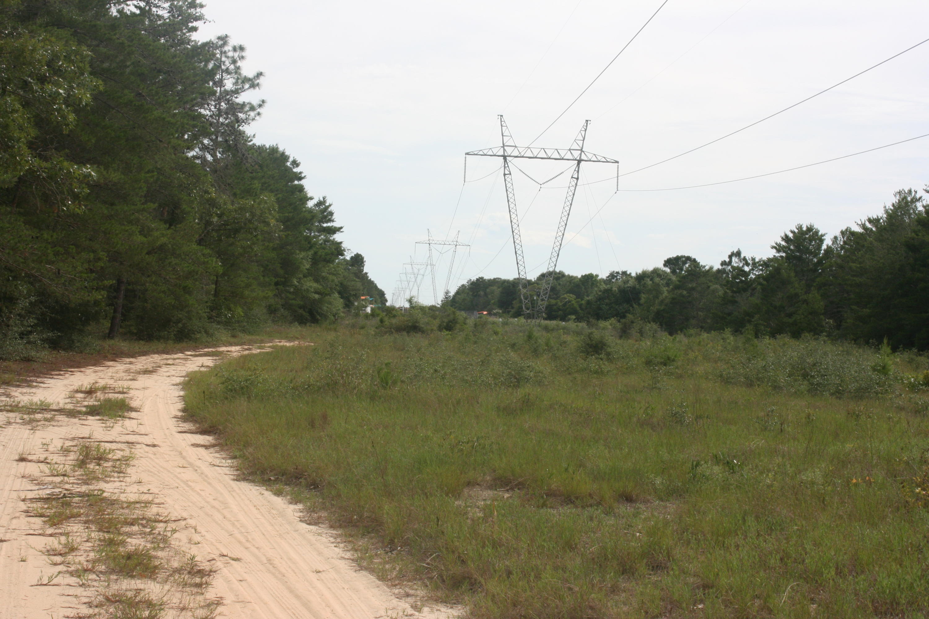 5348 Staghorn Road Crestview, FL 32539 - Photo 5 of 12 IMG_6170