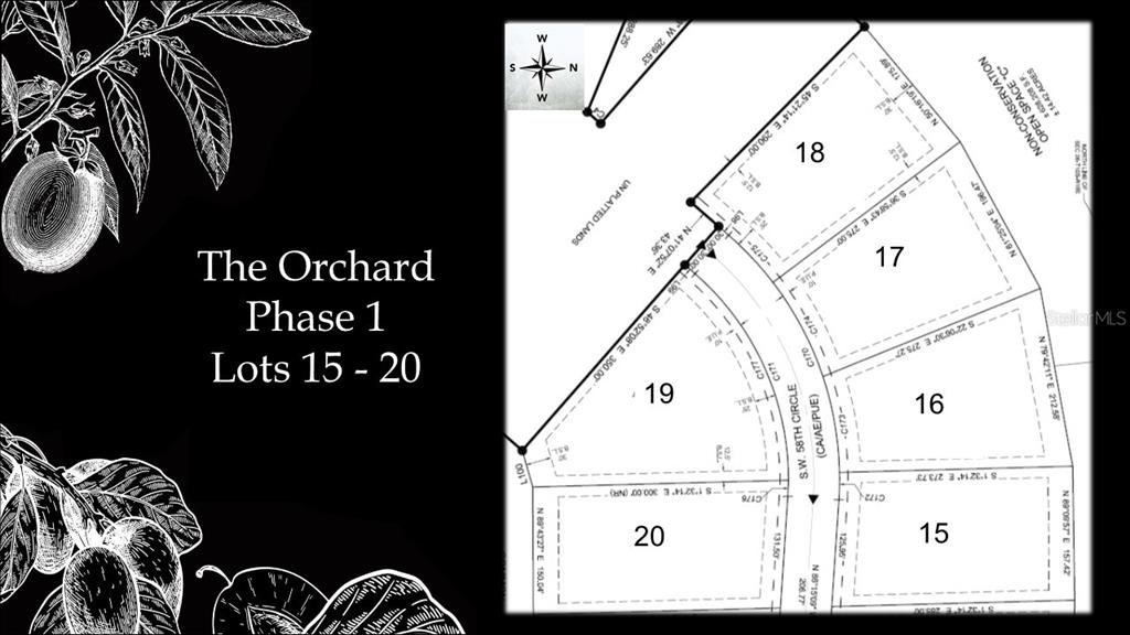 12558 Southwest 58th Place Archer, FL 32618 - Photo 5 of 22