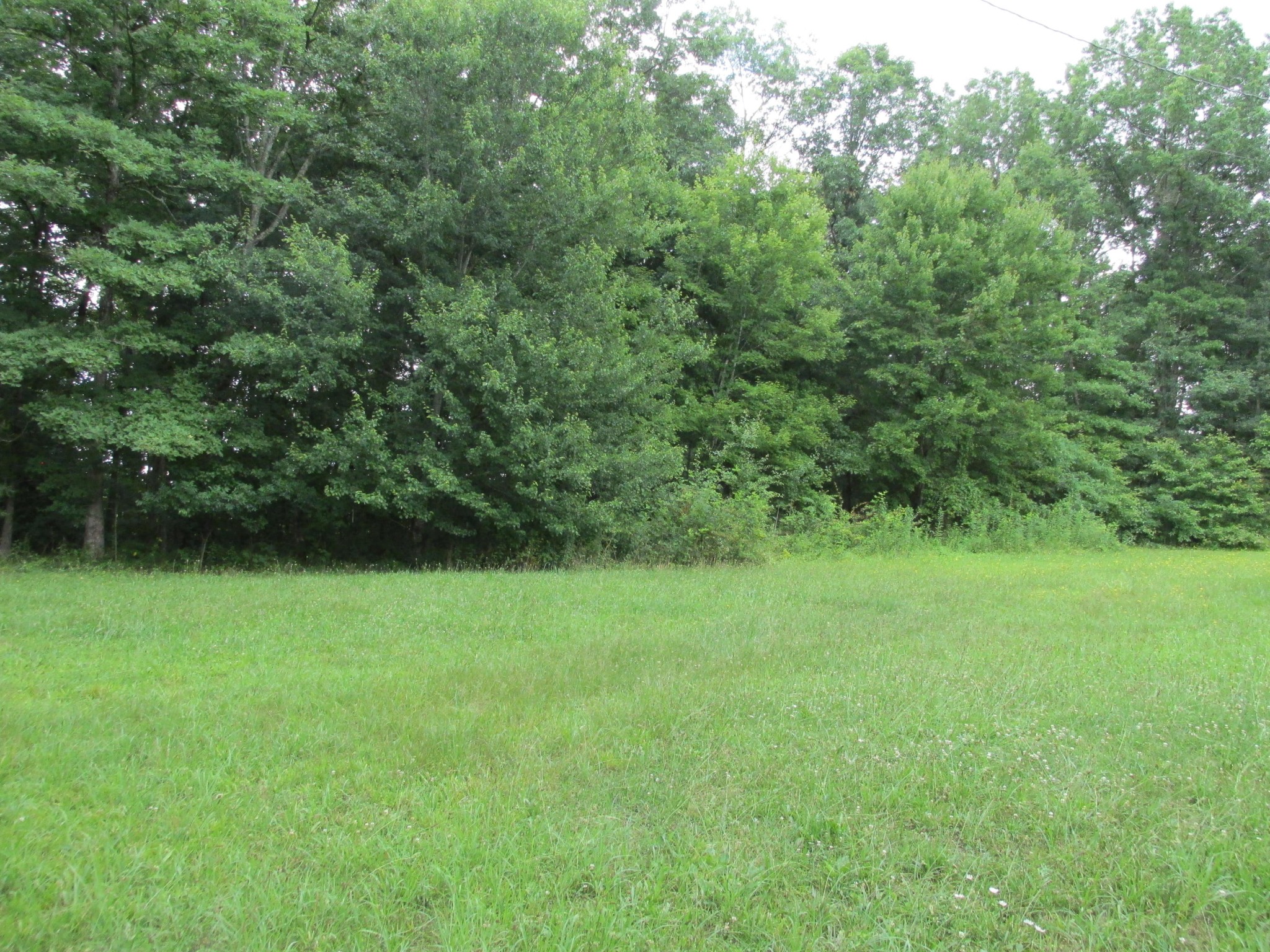 243 Rankin Road Deer Lodge, TN 37726 - Photo 10 of 39 Gallery Image 10
