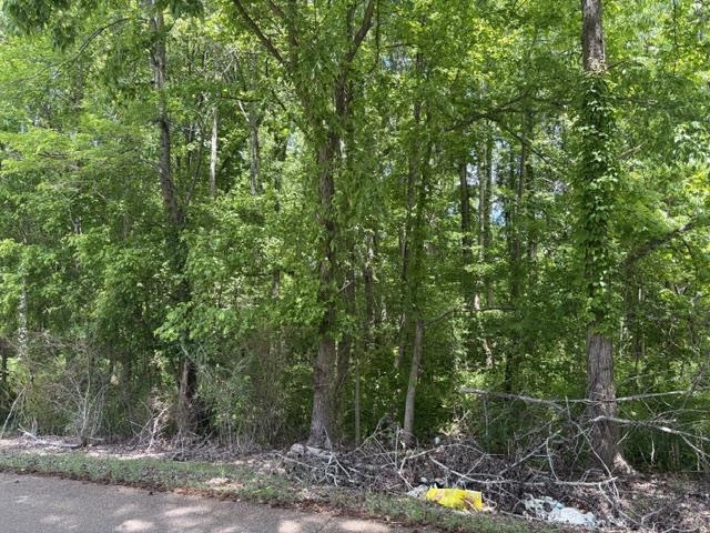 Liberty Road Moscow, TN 38057 - Photo 1 of 2 a view of outdoor space and trees