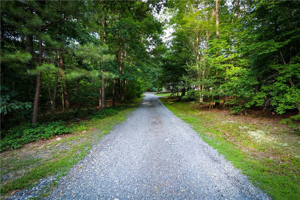 2368 W.O.W. Road Randleman, NC 27317 - Photo 2 of 31 View from WOW Rd.