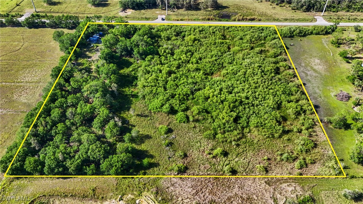 38210 Cook Brown Road Punta Gorda, FL 33982 - Photo 7 of 20 a view of a garden in a lake