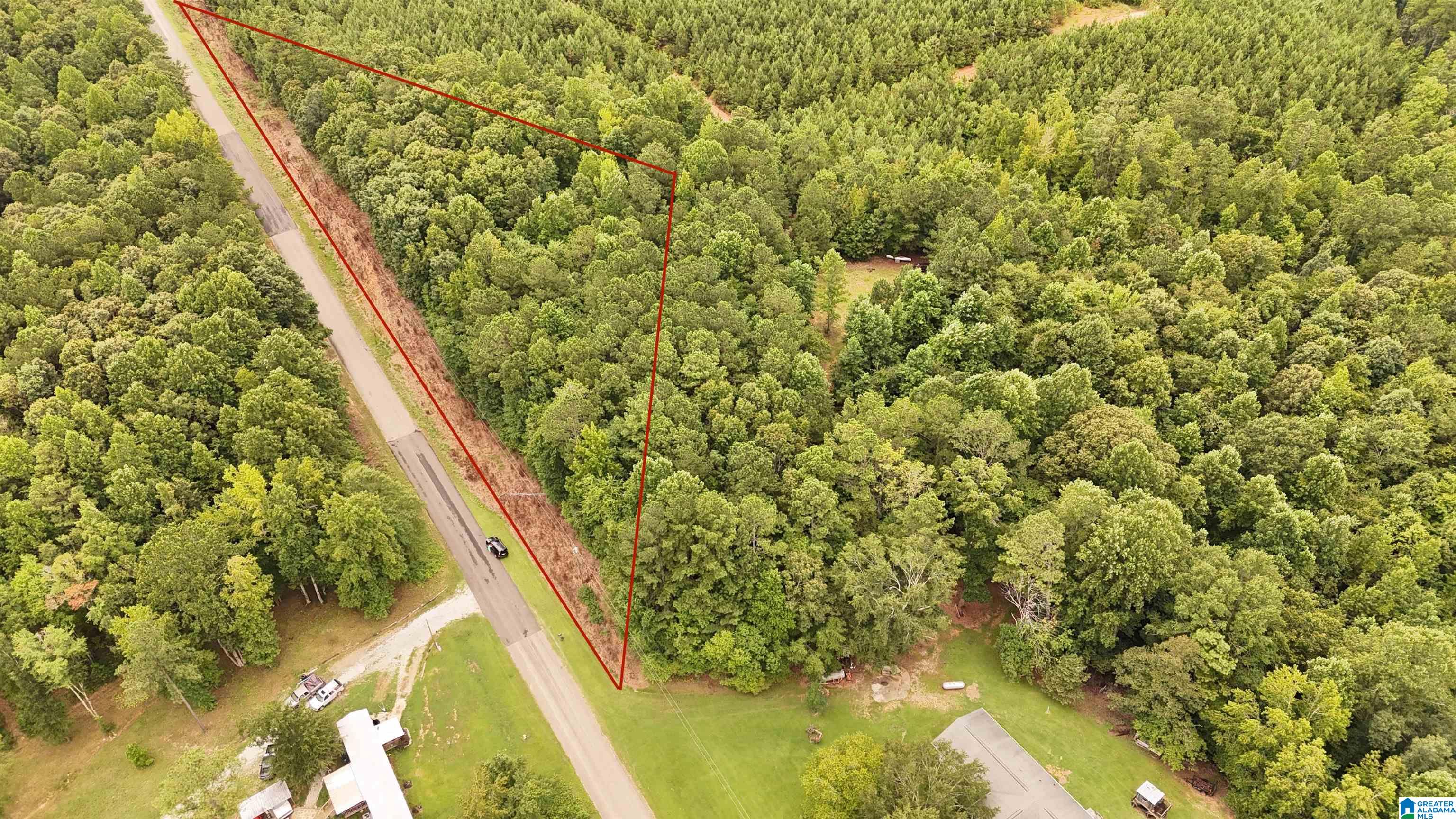 0 County Road 33, Unit METES AND BOUNDS Fruithurst, AL 36262 - Photo 6 of 7
