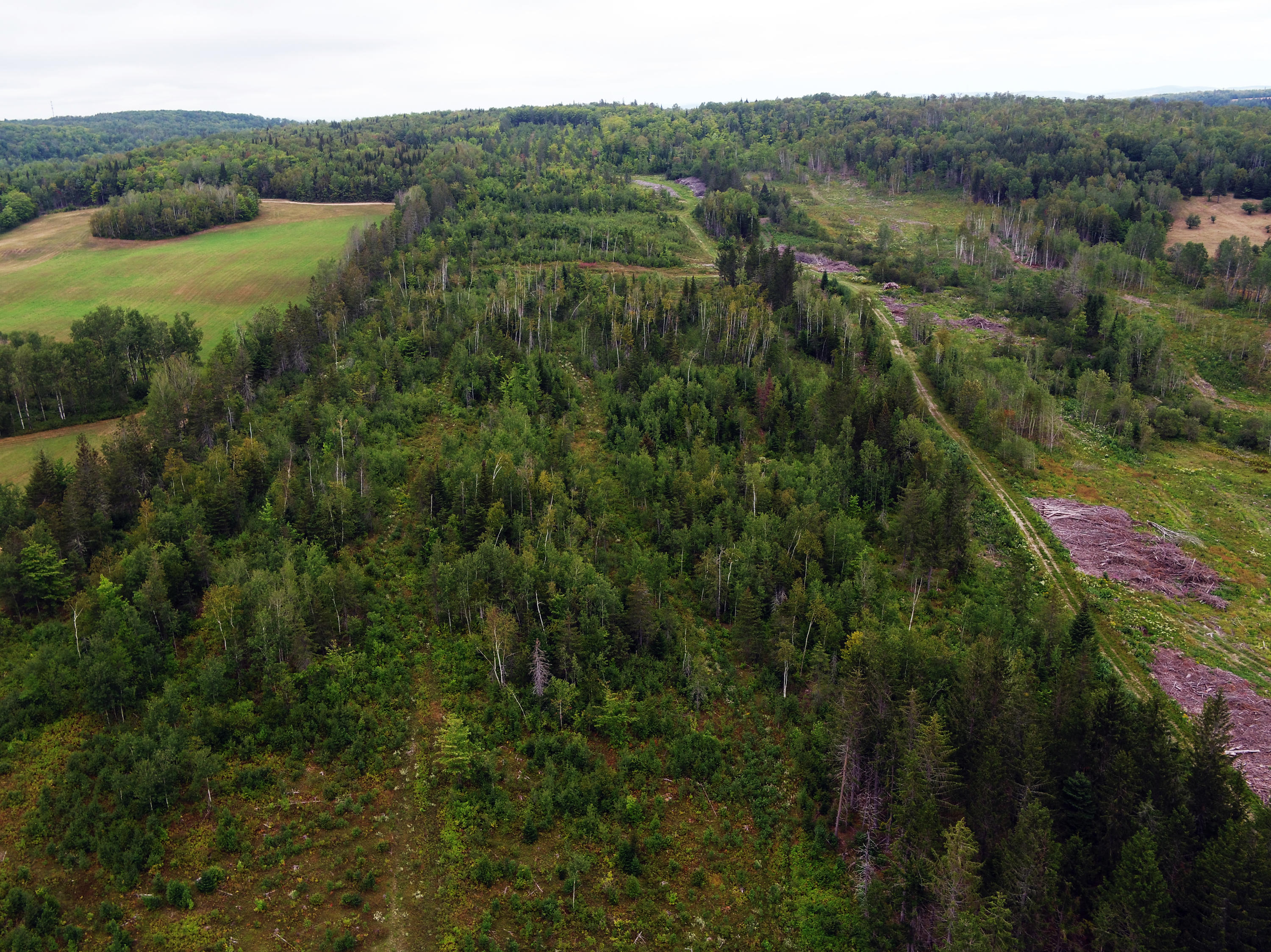 81 Starbarn Road Frenchville, ME 04745 - Photo 111 of 126 DJI_0043