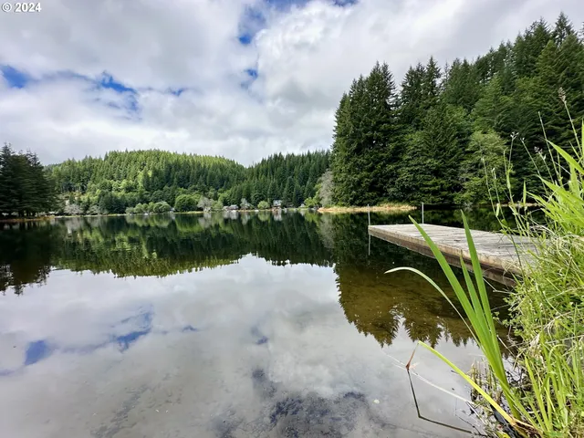 $29,500 | 71529 Fishhawk Road, Birkenfeld, OR 97016