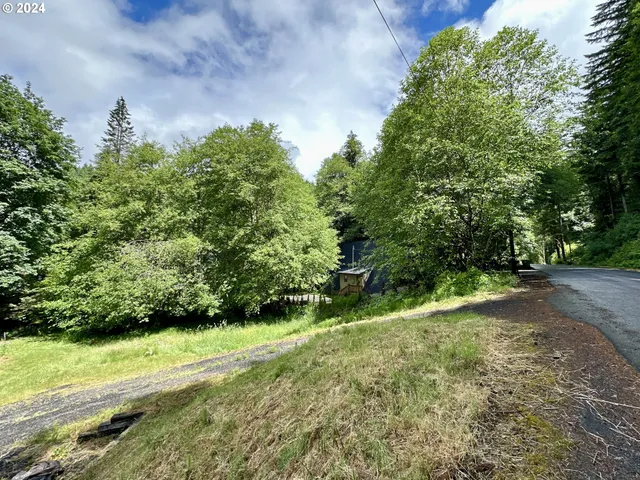 $29,500 | 71529 Fishhawk Road, Birkenfeld, OR 97016