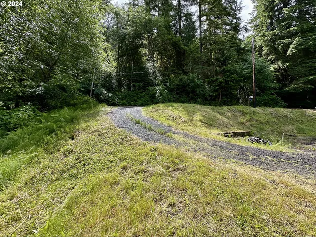 $29,500 | 71529 Fishhawk Road, Birkenfeld, OR 97016