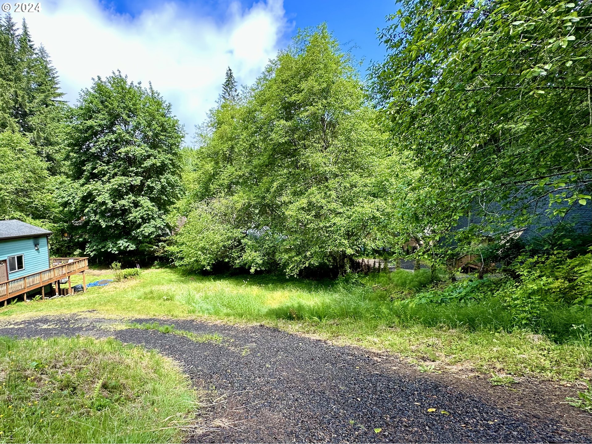 71529 Fishhawk Road Birkenfeld, OR 97016 - Photo 5 of 17