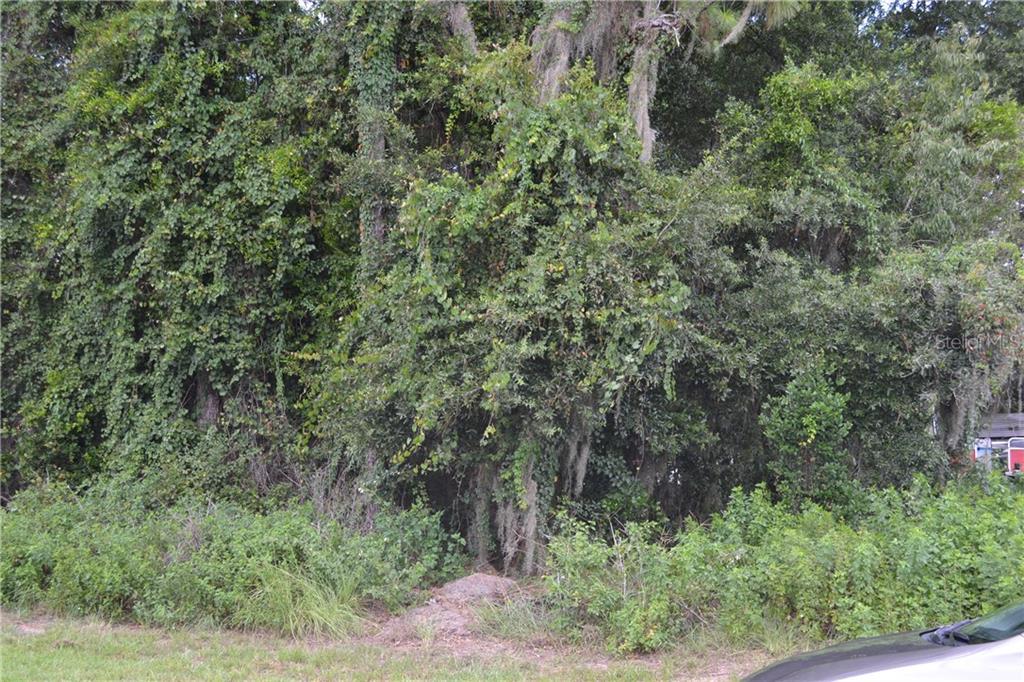 1041 Lehigh Terrace Inverness, FL 34452 - Photo 1 of 1 Gallery Image 1