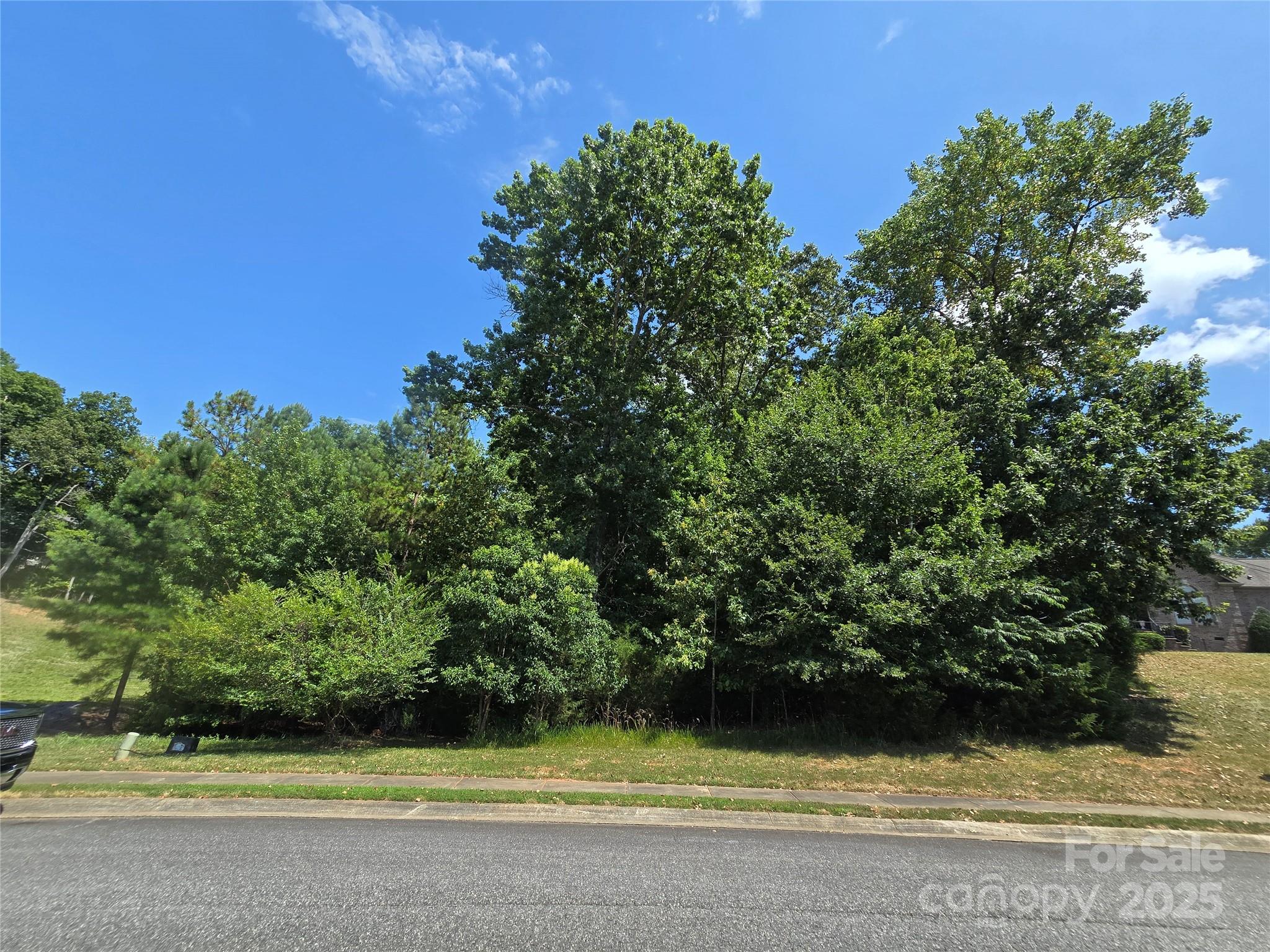 246 Quiet Waters Road, Unit 18 Belmont, NC 28012 - Photo 4 of 12