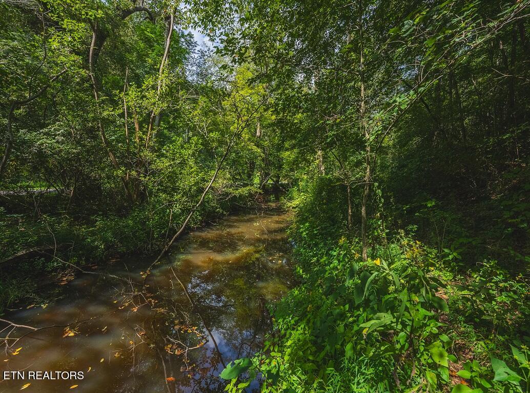 24-acers Coffey Lane Rutledge, TN 37861 - Photo 31 of 35 Drone Photo