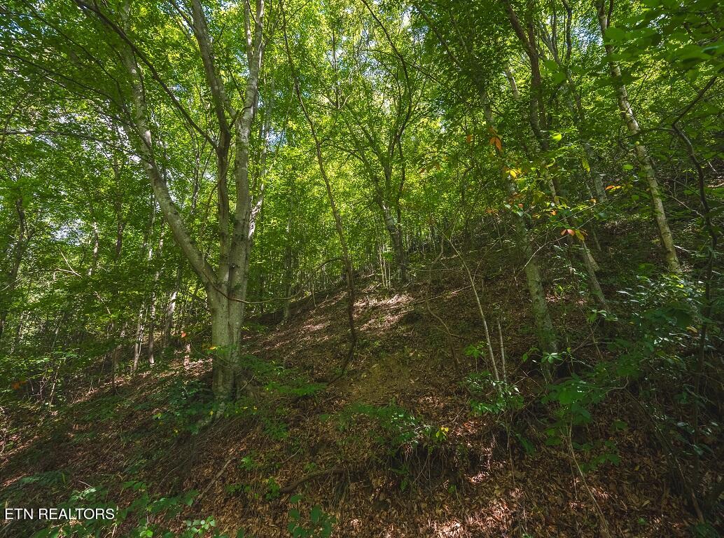24-acers Coffey Lane Rutledge, TN 37861 - Photo 32 of 35 Drone Photo