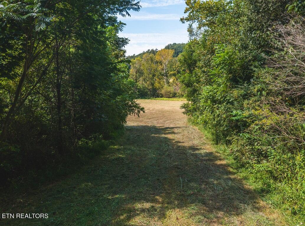 24-acers Coffey Lane Rutledge, TN 37861 - Photo 8 of 35 Drone Photo