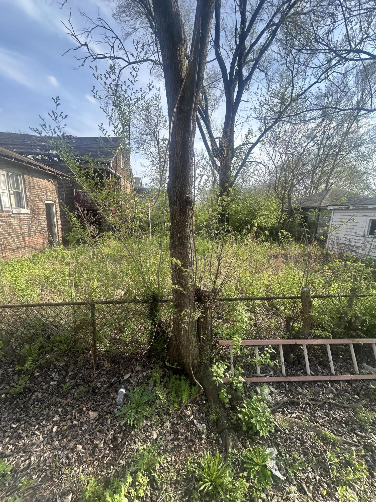 1168 Harrison Street Gary, IN 46407 - Photo 2 of 15 1500x2000