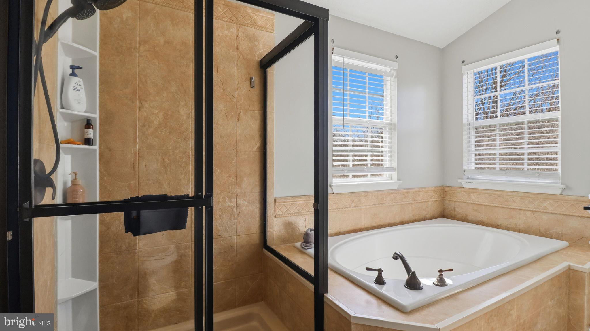 7105 Friendship Road Clinton, MD 20735 - Photo 21 of 90 Elegant bathroom with natural light.