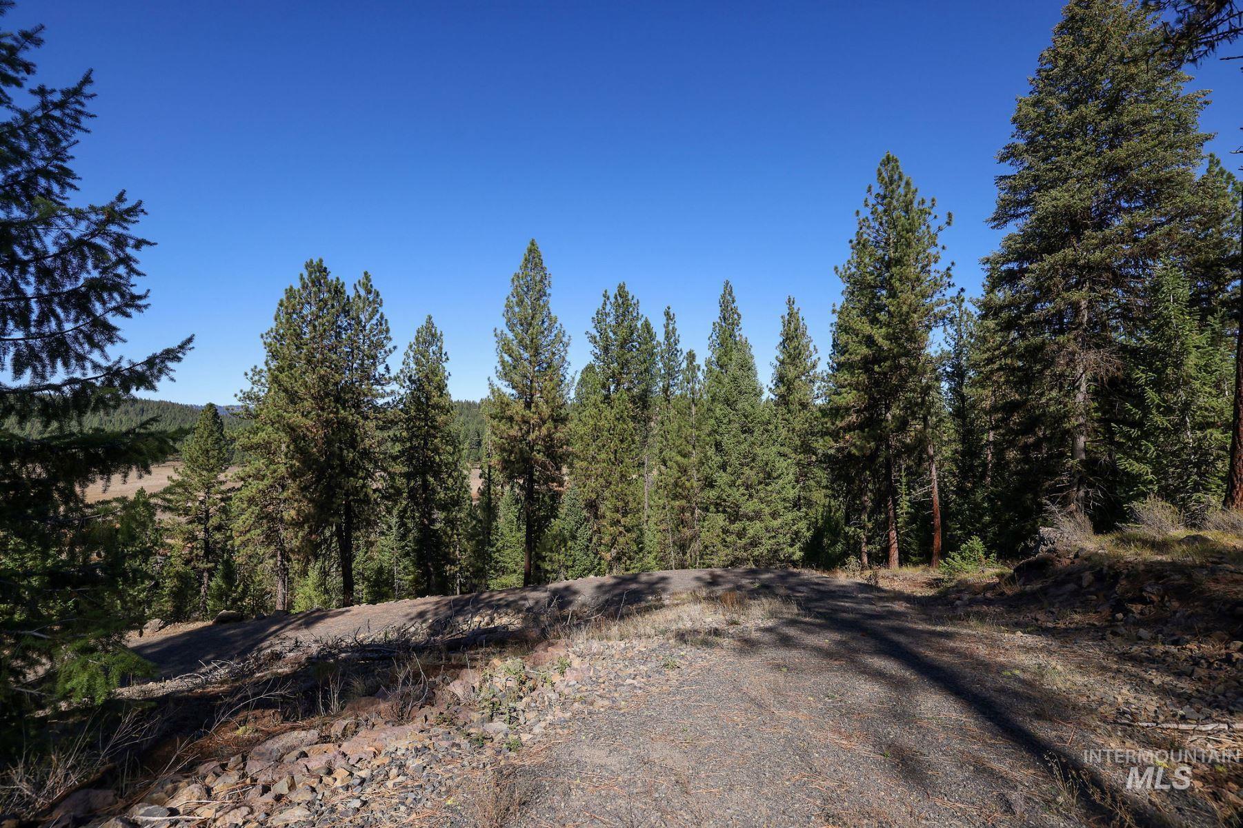 Lot 22 Rim Road New Meadows, ID 83654 - Photo 39 of 49