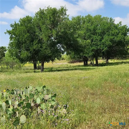 a view of field with trees