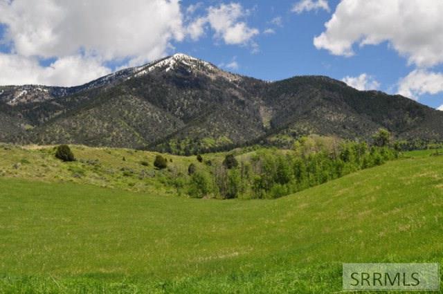 B4-l8 Elk Ridge Drive Swan Valley, ID 83449 - Photo 4 of 8