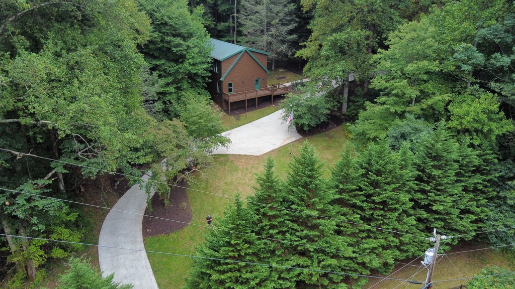 1013 Highway 60 Suches, GA 30572 - Photo 6 of 47