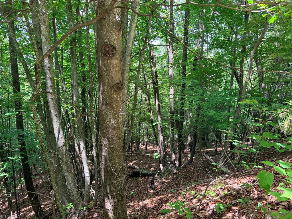 Lot 132 Warren Way Purlear, NC 28665 - Photo 6 of 29