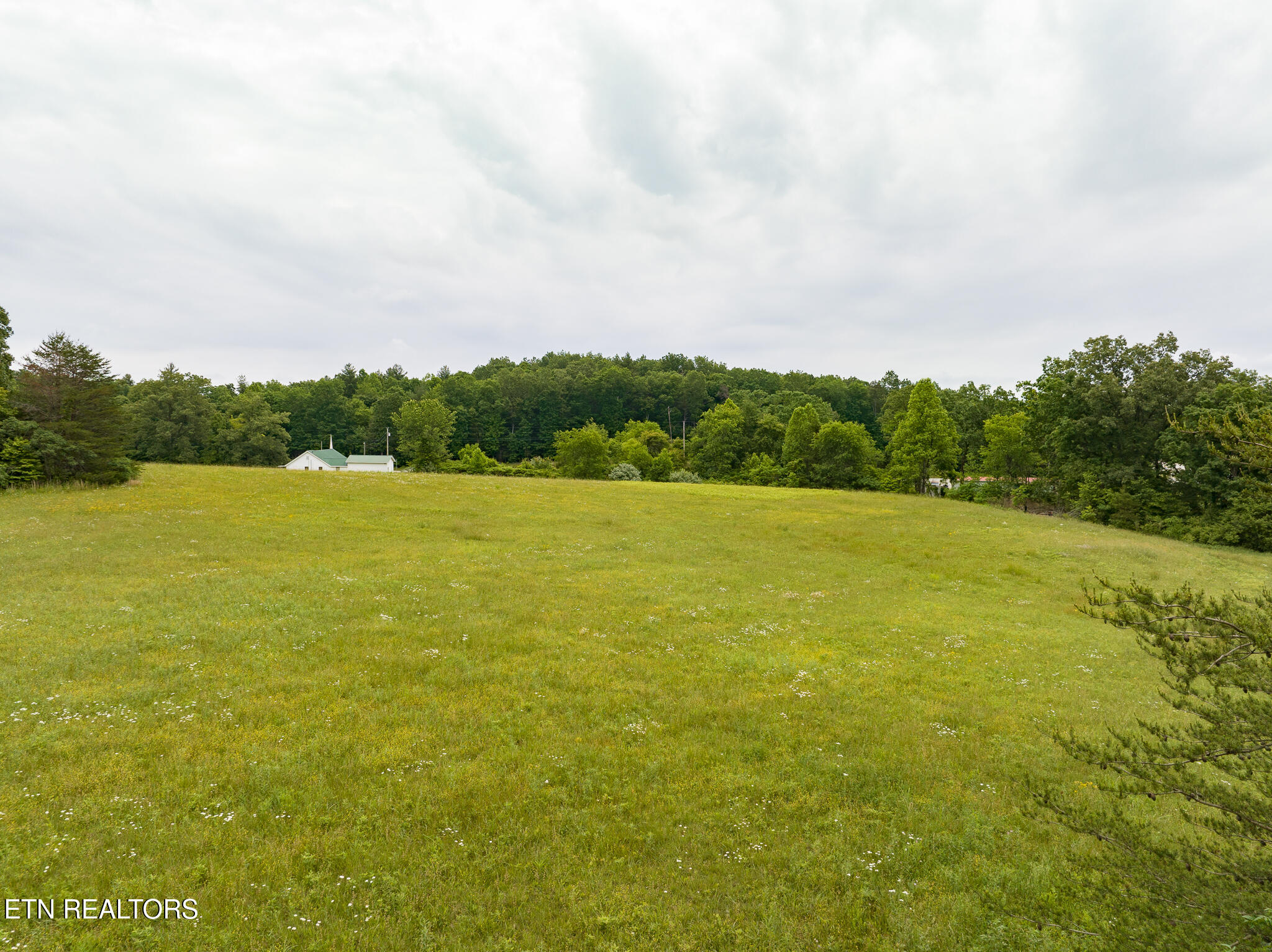19-acres Brewstertown Road Robbins, TN 37852 - Photo 22 of 25 untitled-22