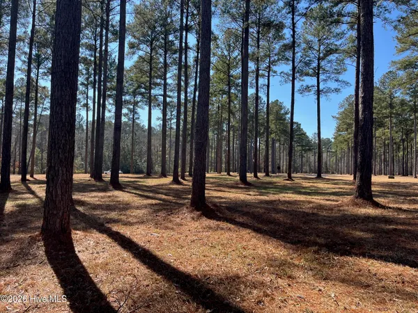 $15,000 | 2 Baldhead Island Court South, Oriental, NC 28571