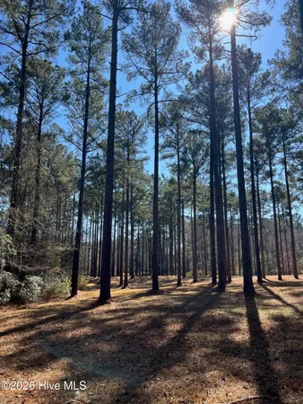 $15,000 | 2 Baldhead Island Court South, Oriental, NC 28571