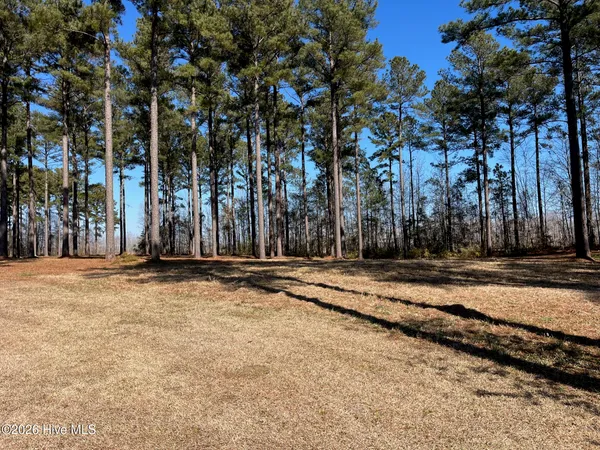 $15,000 | 2 Baldhead Island Court South, Oriental, NC 28571