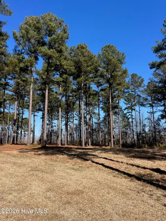 $15,000 | 2 Baldhead Island Court South, Oriental, NC 28571