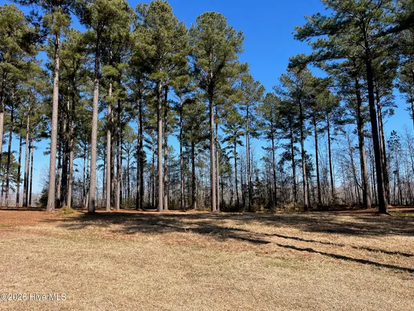 $15,000 | 2 Baldhead Island Court South, Oriental, NC 28571