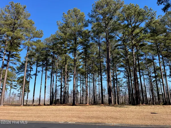 $15,000 | 2 Baldhead Island Court South, Oriental, NC 28571