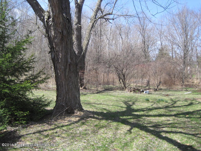 611 State(rt 435) Road Moscow, PA 18444 - Photo 8 of 10 Gallery Image 8
