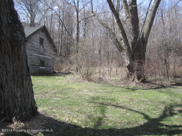 611 State(rt 435) Road Moscow, PA 18444 - Photo 9 of 10 Gallery Image 9
