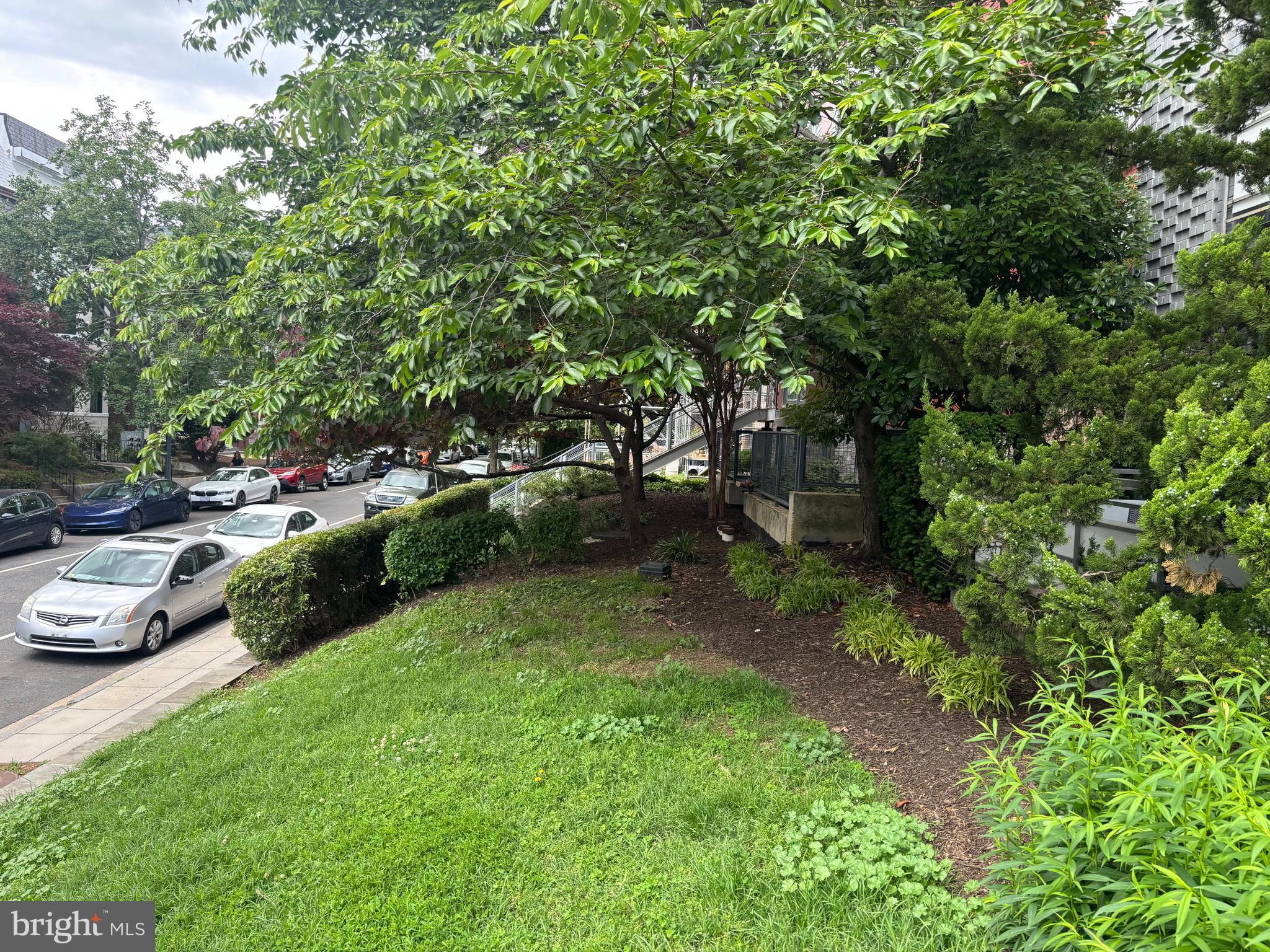 1439 Chapin Street Northwest, Unit 303 Washington, DC 20009 - Photo 29 of 31