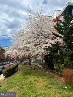 $575,000 | 1439 Chapin Street Northwest, Unit 303, Washington, DC 20009