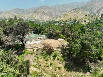 a view of a yard with a tree