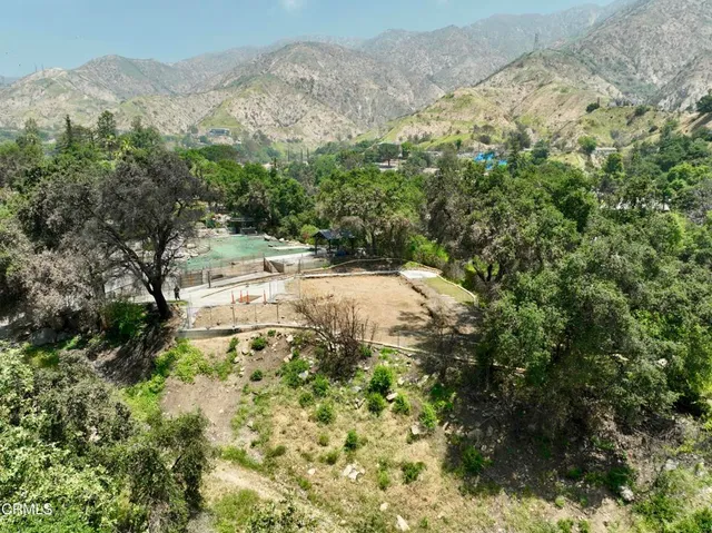 a view of a yard with a tree